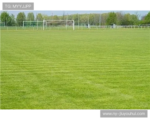 平乐足球全景观察：从基层发展到竞技赛场的全面分析与展望